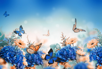 Wall Mural - Amazing background with hydrangeas and daisies. Yellow and blue flowers on a white blank. Floral card nature. bokeh butterflies.