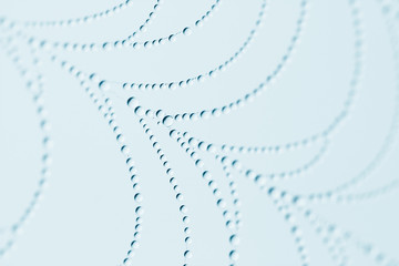 Wall Mural - spider web