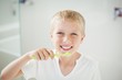 © WavebreakmediaMicro - Portrait of boy brushing teeth