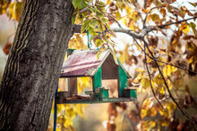 Wooden Bird House Of Green Color On The Tree