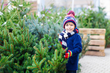 Wall Mural - beautiful smiling little boy holding christmas tree