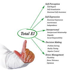 Wall Mural - Total emotional intelligence