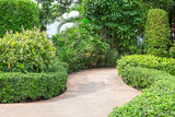 Fototapeta Lawenda - Stone walkway In Garden