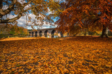 Wall Mural - autumn leaves and hexham bridge, in its full glory of colour, at tyne green riverside park, hexham, 