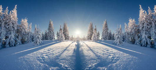 fantastic wintry landscape