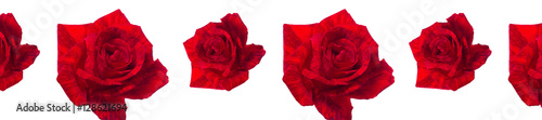 panorama repeating patterns of red rose for Valentine's Day