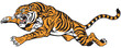 Tiger jump tattoo vector 