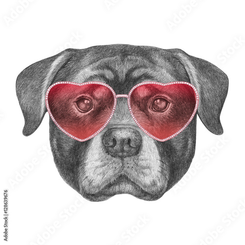 rottweiler sunglasses