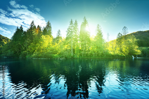 Tapeta ścienna Jezioro w lesie, chorwacja, plitvice