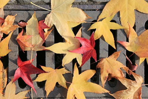 Valokuva alcantarilla hojas desagüe otoño U84A0075-f16