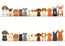 Small Dogs Border Set, Front View And Rear View