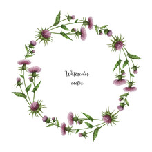 Watercolor Vector Round Frame Of Milk Thistle.