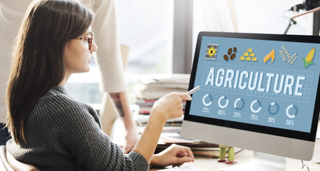 Wall Mural - agriculture country crops farm food land reap concept