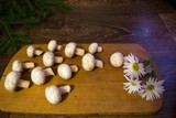 Fototapeta Mapy - champignon mushrooms on a wooden board
