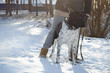 © mak_alexandra - winter walk with the dog