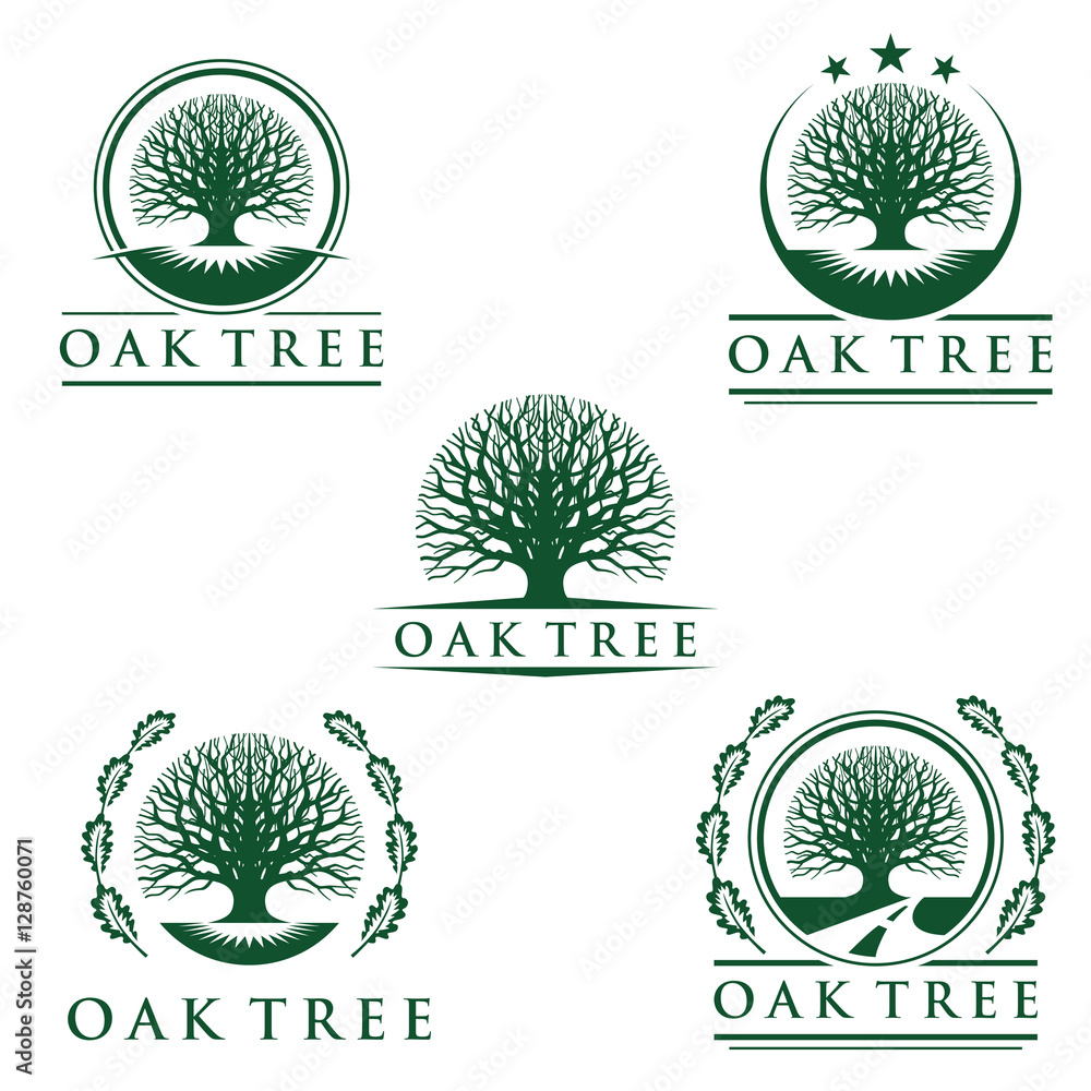 eco green oak tree vector logo design Stock Vector | Adobe Stock