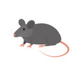 rat animal isolated icon vector illustration design