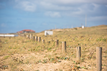 Sticker - Wooden fence on Atlantic beach in France