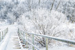 Winter landscape. Wooden bridge over the frozen river. Snow covered trees and bushes. Christmas greetings. New Year.