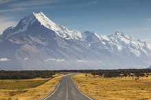 Highway 80, Mt Cook National Park, Canterbury, South Island, New Zealand