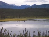 Fototapeta Natura - Alaska Lake