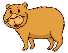 Capybara Cartoon