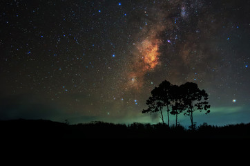Wall Mural - milky way