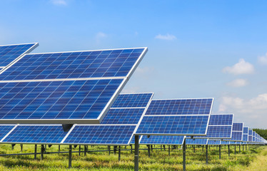 solar panels  photovoltaics in solar farm power station for alternative energy from the sun 