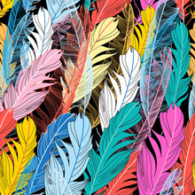 Graphic Pattern Multicolored Feathers