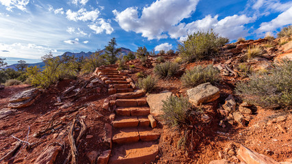 Wall Mural - Amazing mountain landscape. Narrow pathway through the canyon. Zion National Park, Utah, USA