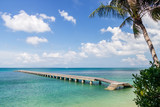 Fototapeta Sypialnia - Green sea, pier and palm leaves on a tropical island