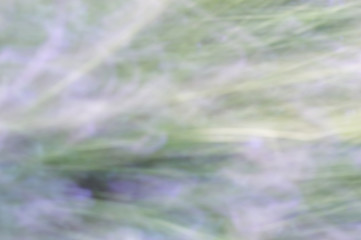 Blurred abstract background. Green purple and white.