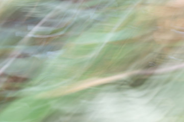 Wall Mural - blurred abstract background