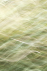 Wall Mural - blurred abstract background. texture ripples.