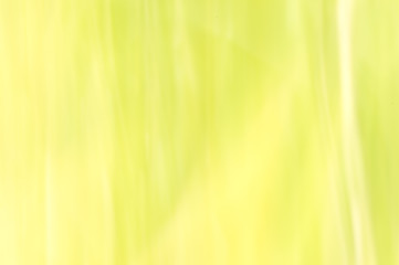 Wall Mural - blurred abstract background. pastel green.