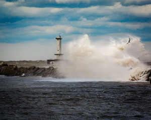 Fototapeta Stormy Harbor