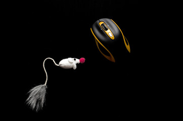 A mouse isolated on black