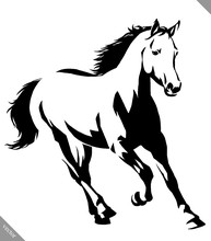 Black And White Linear Paint Draw Horse Vector Illustration