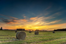 Round Hay Bales In A Field At Sunset