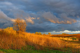 Fototapeta Na ścianę - Last sun rays over the field after the storm.
