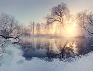 Wall Mural - Christmas morning landscape