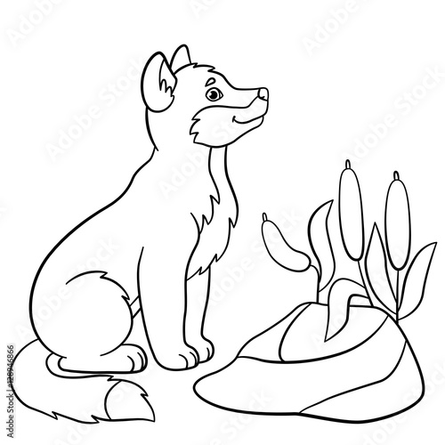 coloring pages little cute baby wolf smiles  buy this