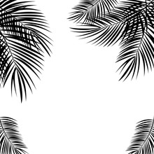 Black Palm Leaf On White Background. Vector Illustration.