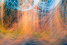Abstract Picture Of An Autumnally Forest