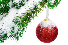 Red Christmas Ball On Green Branch With Snow Isolated On White Background