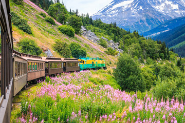 skagway, alaska. the scenic white pass & yukon route railroad.