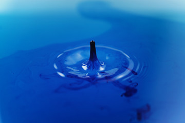 Wall Mural - blue ink drops in water, shallow focus