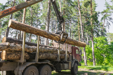 Wall Mural -  timber carrier