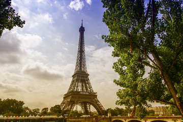 Canvas Print - Eiffel tower particular vie