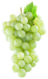 Fototapeta Mapy - Bunch of white grapes. File contains clipping paths.